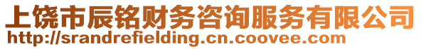 上饒市辰銘財務(wù)咨詢服務(wù)有限公司