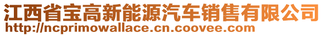 江西省寶高新能源汽車銷售有限公司