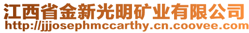 江西省金新光明礦業(yè)有限公司