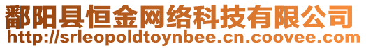 鄱陽(yáng)縣恒金網(wǎng)絡(luò)科技有限公司