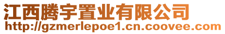 江西騰宇置業(yè)有限公司