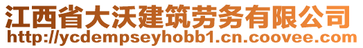 江西省大沃建筑勞務(wù)有限公司