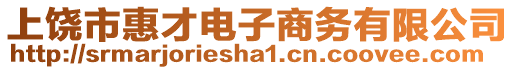 上饒市惠才電子商務(wù)有限公司