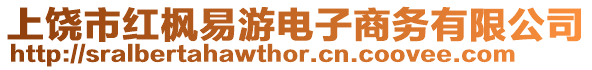 上饒市紅楓易游電子商務有限公司