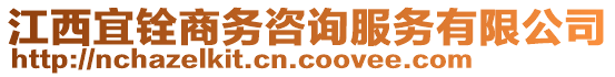 江西宜銓商務咨詢服務有限公司