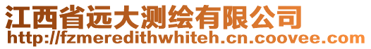 江西省遠(yuǎn)大測(cè)繪有限公司