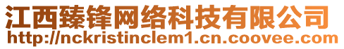 江西臻鋒網(wǎng)絡(luò)科技有限公司