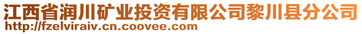 江西省潤(rùn)川礦業(yè)投資有限公司黎川縣分公司