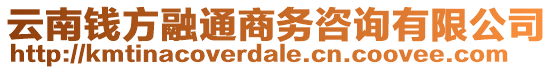 云南錢方融通商務(wù)咨詢有限公司