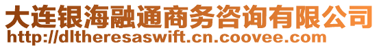 大連銀海融通商務咨詢有限公司