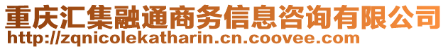 重慶匯集融通商務(wù)信息咨詢有限公司