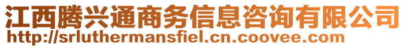 江西騰興通商務(wù)信息咨詢有限公司