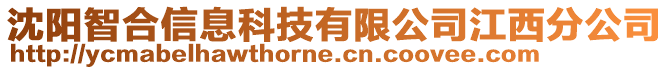 沈陽智合信息科技有限公司江西分公司