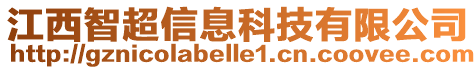 江西智超信息科技有限公司