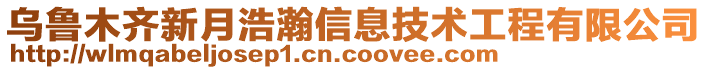 烏魯木齊新月浩瀚信息技術(shù)工程有限公司