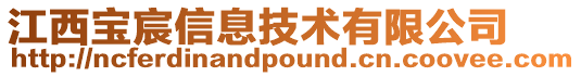 江西宝宸信息技术有限公司