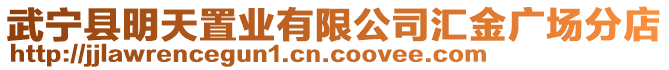 武寧縣明天置業(yè)有限公司匯金廣場分店