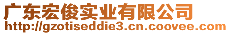 廣東宏俊實(shí)業(yè)有限公司