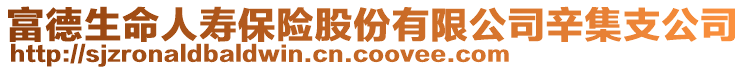 富德生命人壽保險(xiǎn)股份有限公司辛集支公司