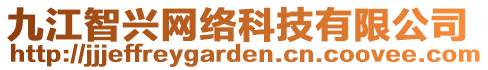 九江智興網(wǎng)絡(luò)科技有限公司