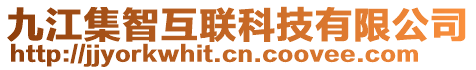 九江集智互联科技有限公司