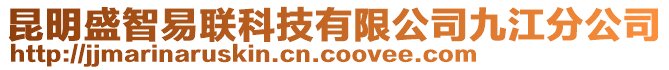 昆明盛智易联科技有限公司九江分公司