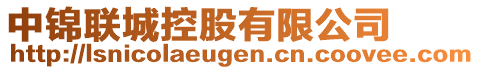 中錦聯(lián)城控股有限公司