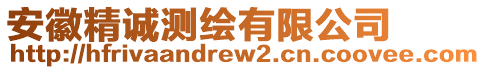 安徽精誠測繪有限公司