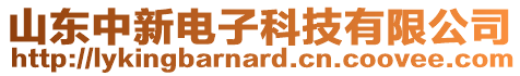 山東中新電子科技有限公司