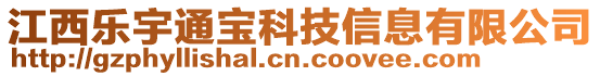 江西樂宇通寶科技信息有限公司