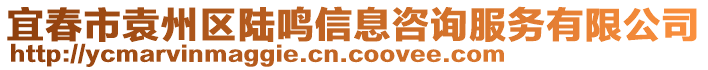 宜春市袁州區(qū)陸鳴信息咨詢服務(wù)有限公司