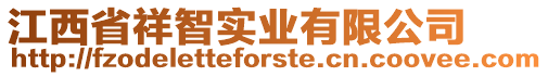 江西省祥智實業有限公司