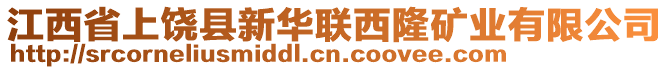 江西省上饒縣新華聯(lián)西隆礦業(yè)有限公司