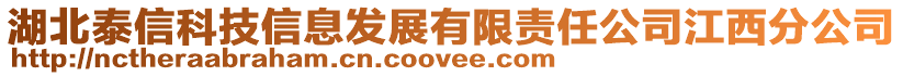 湖北泰信科技信息發(fā)展有限責任公司江西分公司