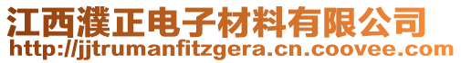 江西濮正電子材料有限公司