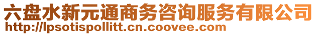 六盤(pán)水新元通商務(wù)咨詢服務(wù)有限公司