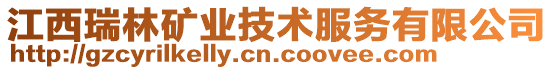 江西瑞林礦業(yè)技術服務有限公司