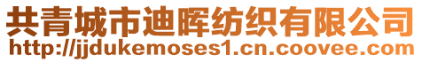 共青城市迪暉紡織有限公司