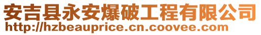 安吉縣永安爆破工程有限公司