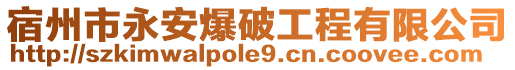 宿州市永安爆破工程有限公司