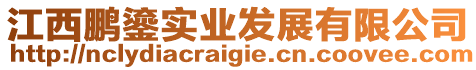 江西鵬鎏實(shí)業(yè)發(fā)展有限公司