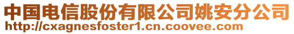 中國電信股份有限公司姚安分公司