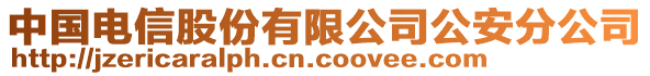 中國(guó)電信股份有限公司公安分公司