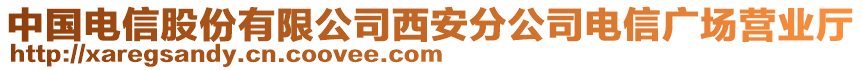 中國電信股份有限公司西安分公司電信廣場營業(yè)廳