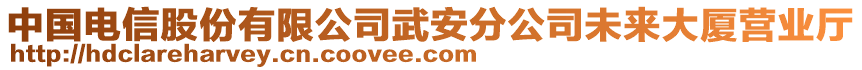 中國(guó)電信股份有限公司武安分公司未來(lái)大廈營(yíng)業(yè)廳