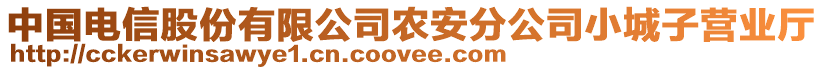 中國(guó)電信股份有限公司農(nóng)安分公司小城子營(yíng)業(yè)廳