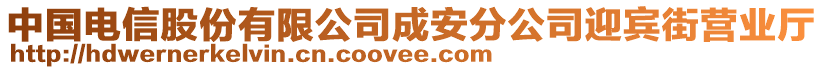 中國電信股份有限公司成安分公司迎賓街營業(yè)廳