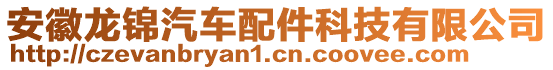 安徽龍錦汽車配件科技有限公司