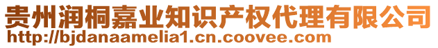 貴州潤(rùn)桐嘉業(yè)知識(shí)產(chǎn)權(quán)代理有限公司