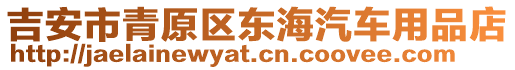 吉安市青原區(qū)東海汽車用品店